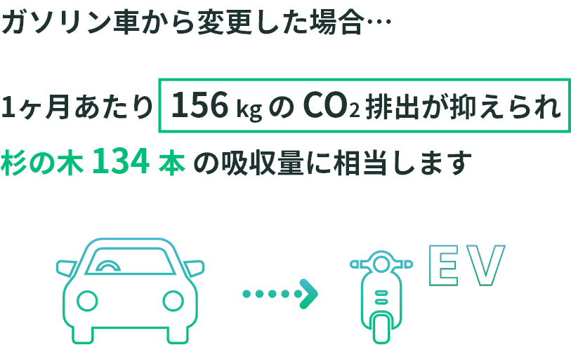 1ヶ月あたり156kgのCO2排出が抑えられ杉の木 134 本 の吸収量に相当します